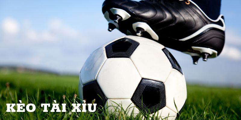 Theo dõi biến động kèo tài xỉu để cược dễ thắng